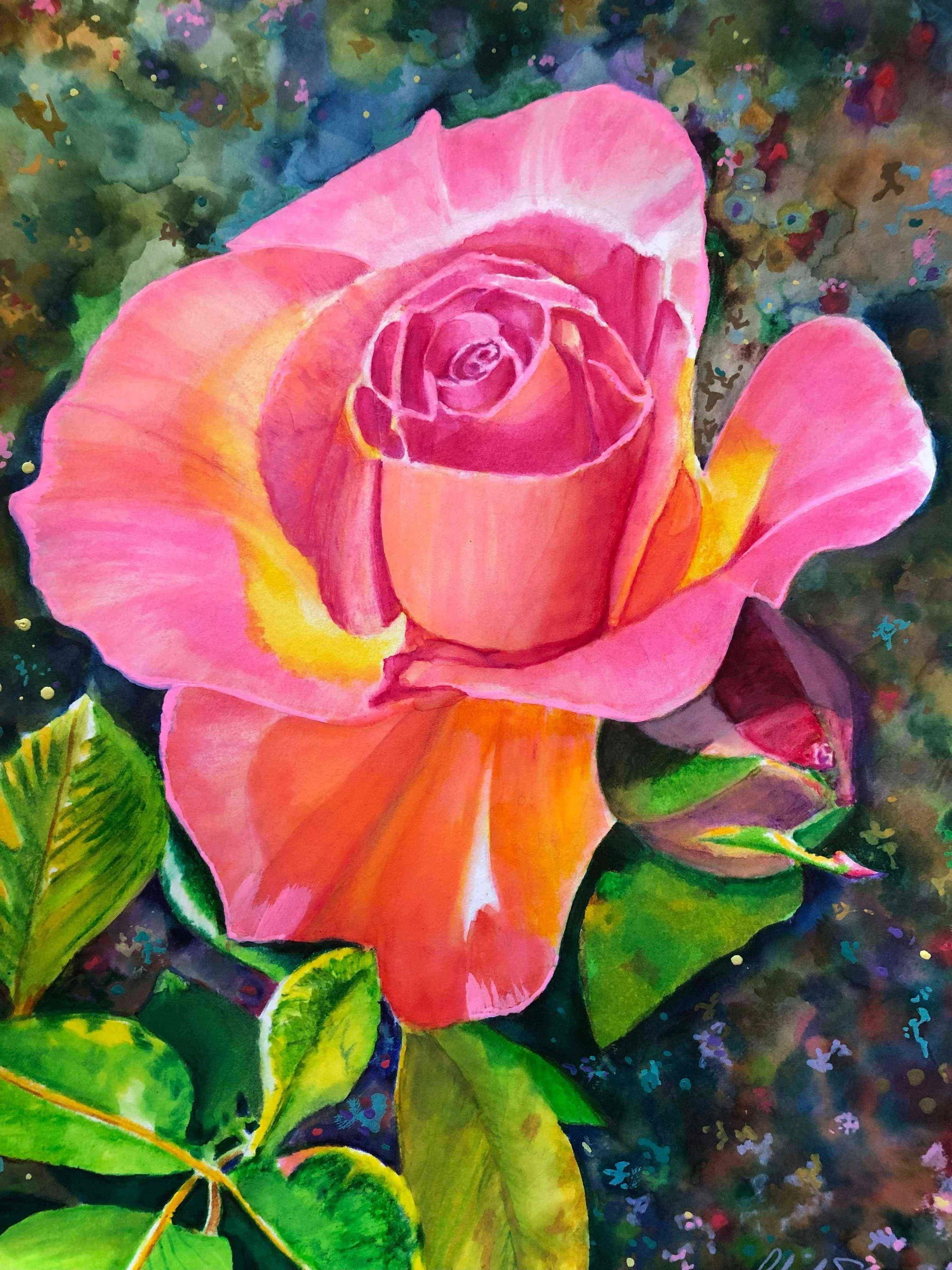 A Pink Rose in Portland