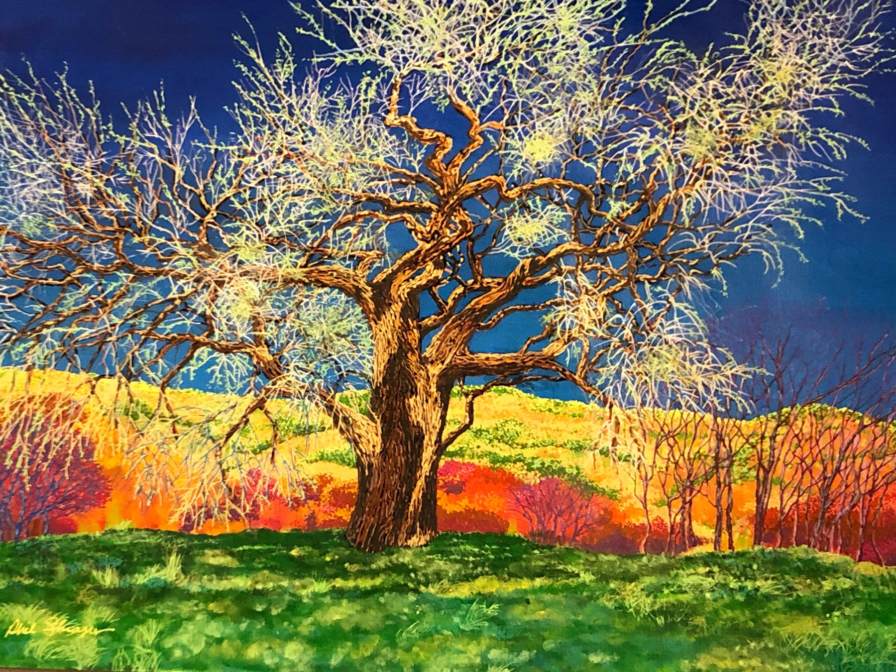 A Tree for Margeret