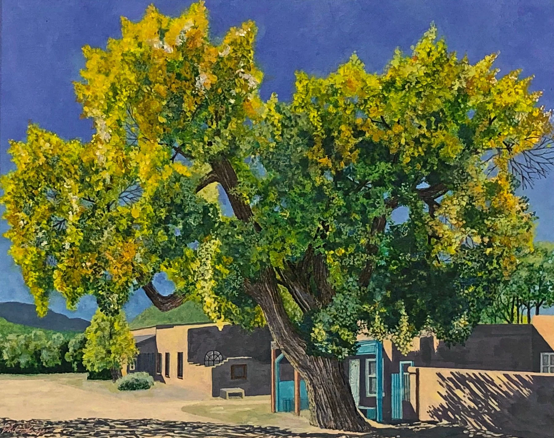 Ancient Cottonwood III