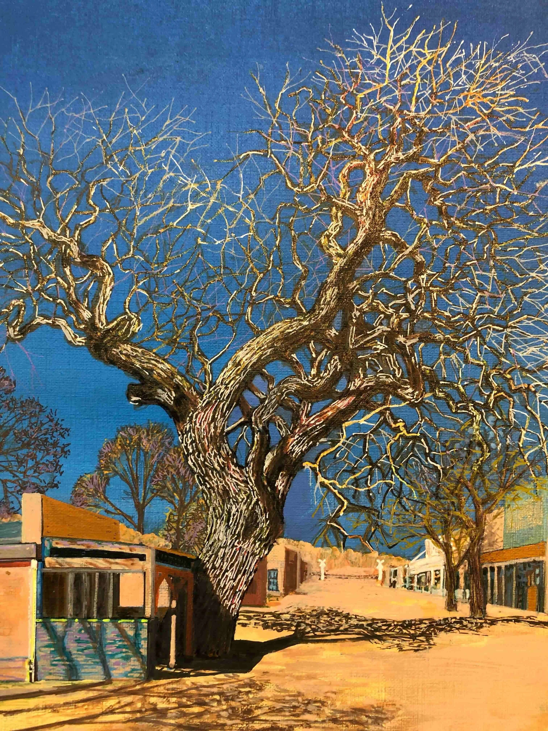 Ancient Cottonwood IV