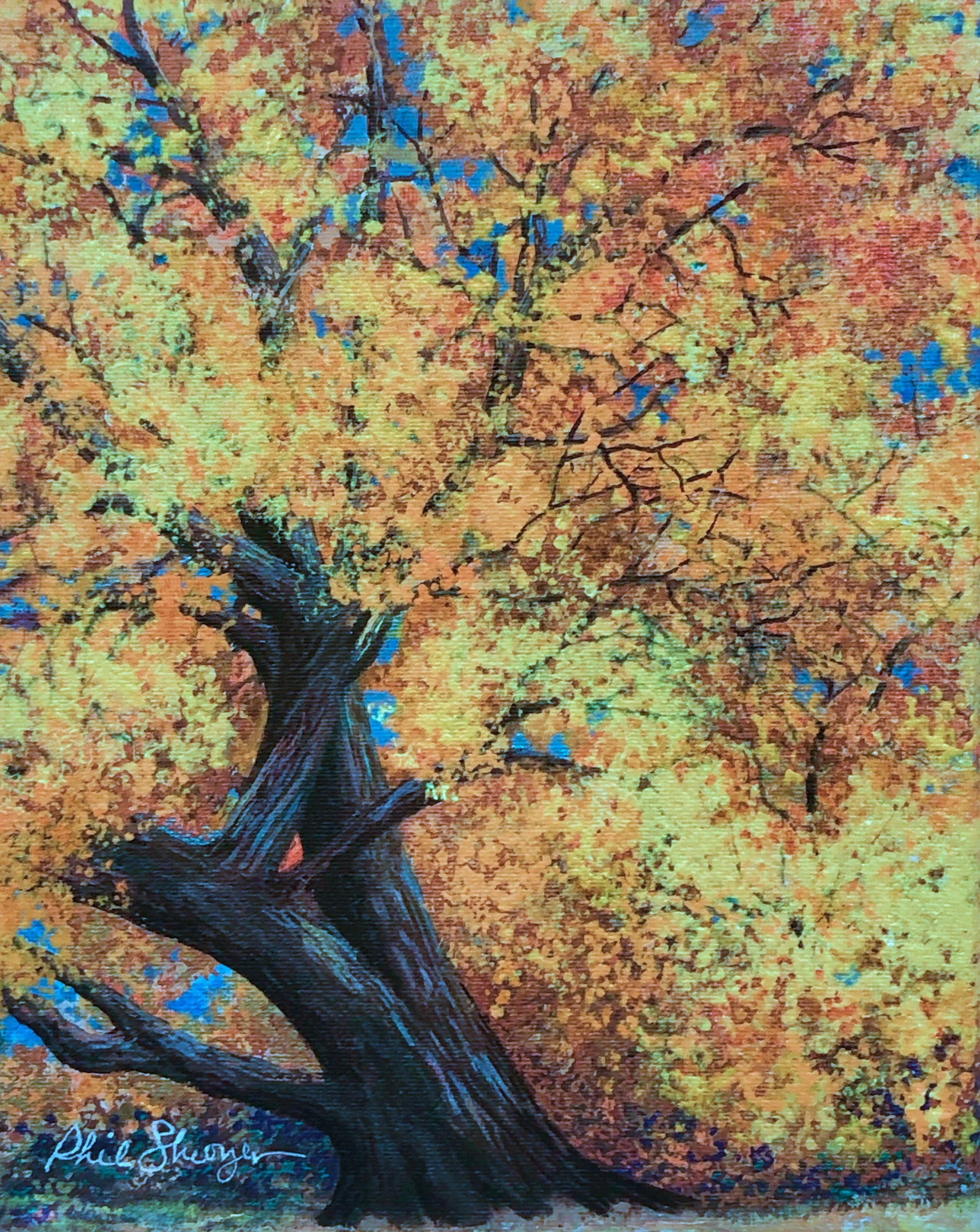 Autumn Cottonwoods