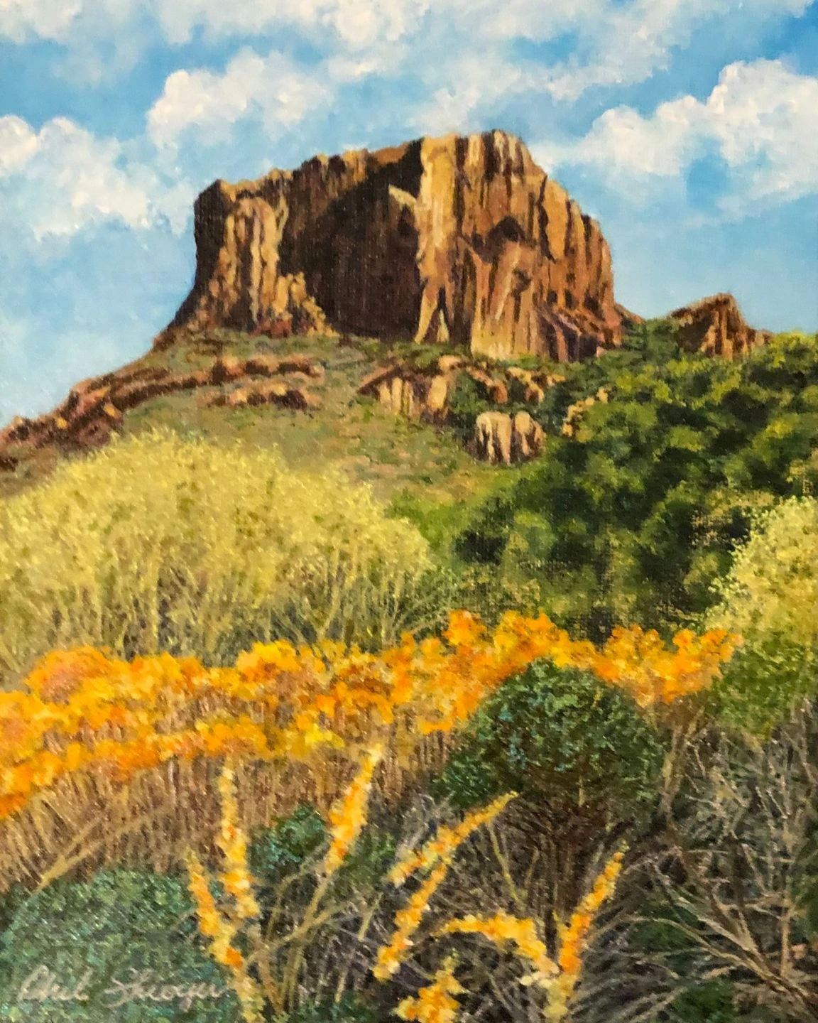 Big House Rock, Big Bend, TX
