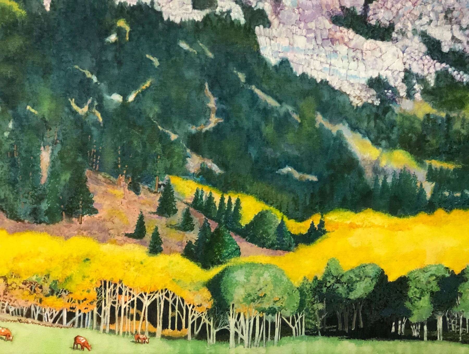 Cecil's Colorado