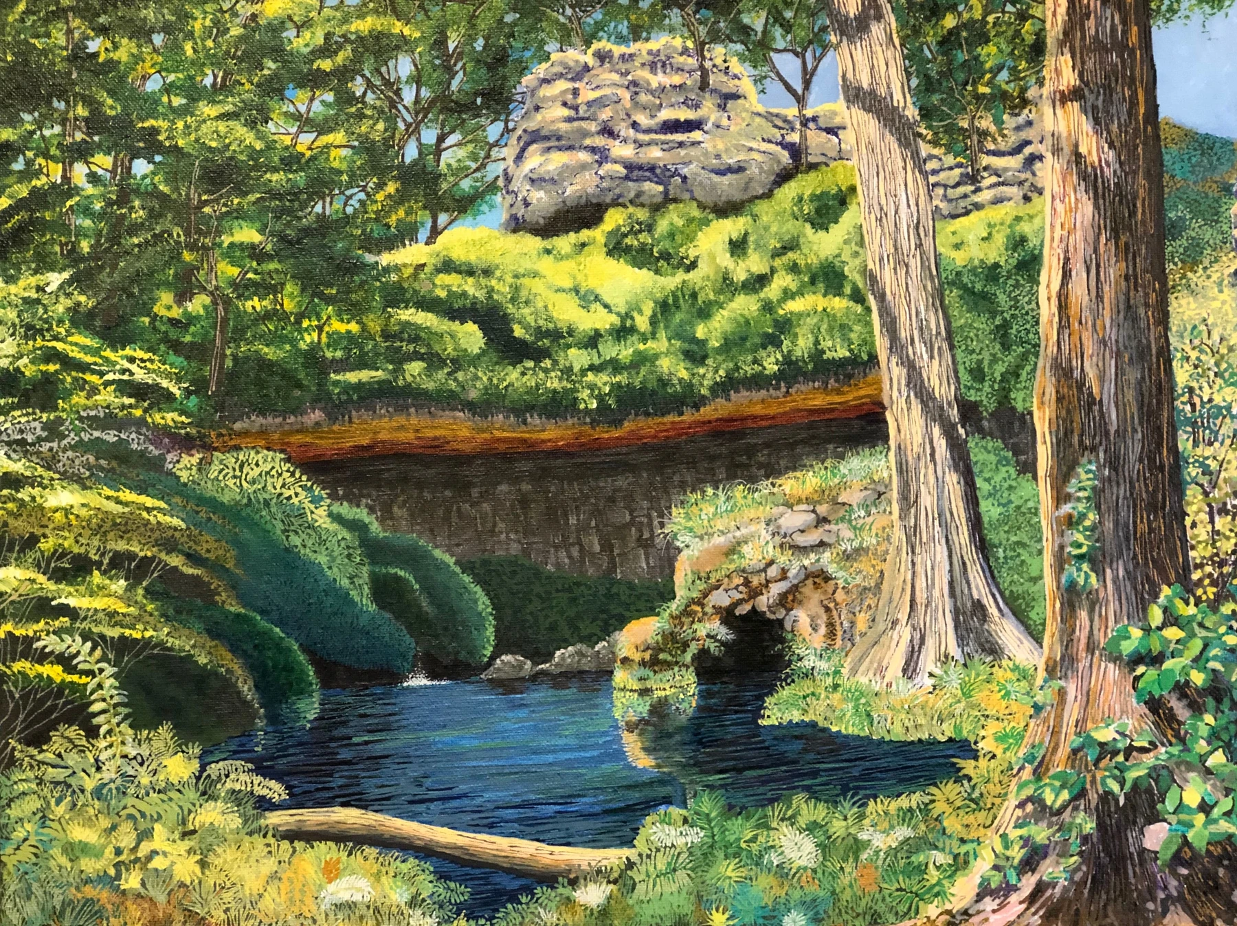 Dripping Springs