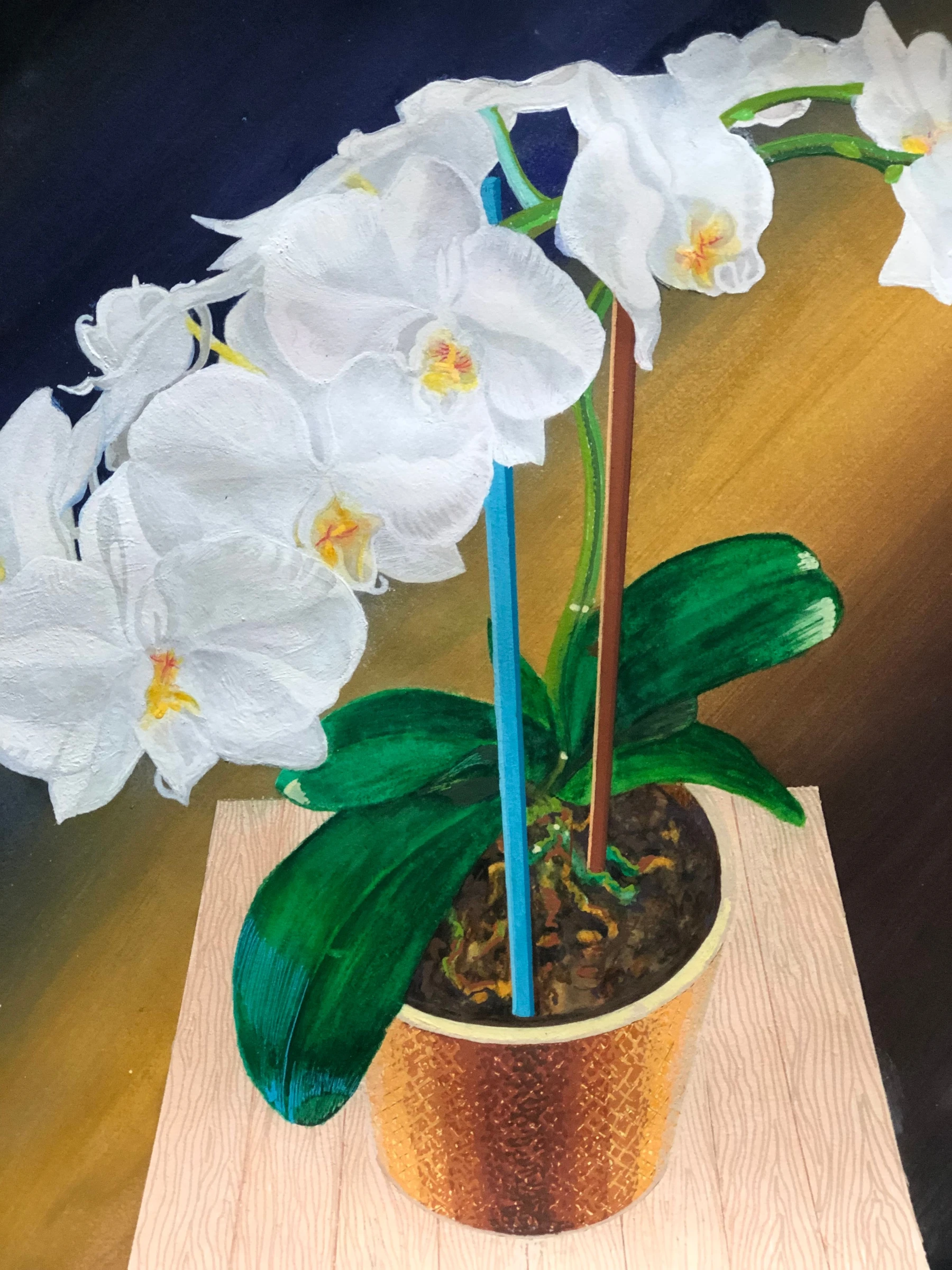 Gwen's Orchid