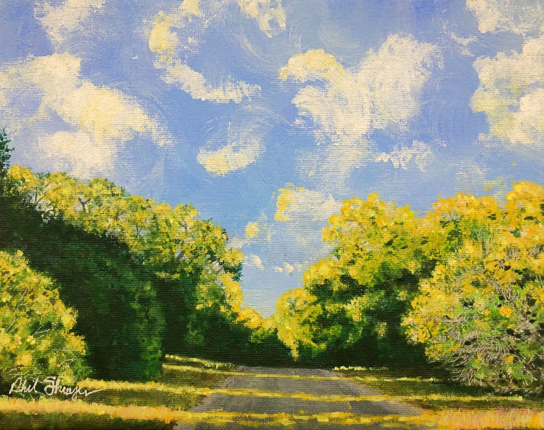 Hill Country Road