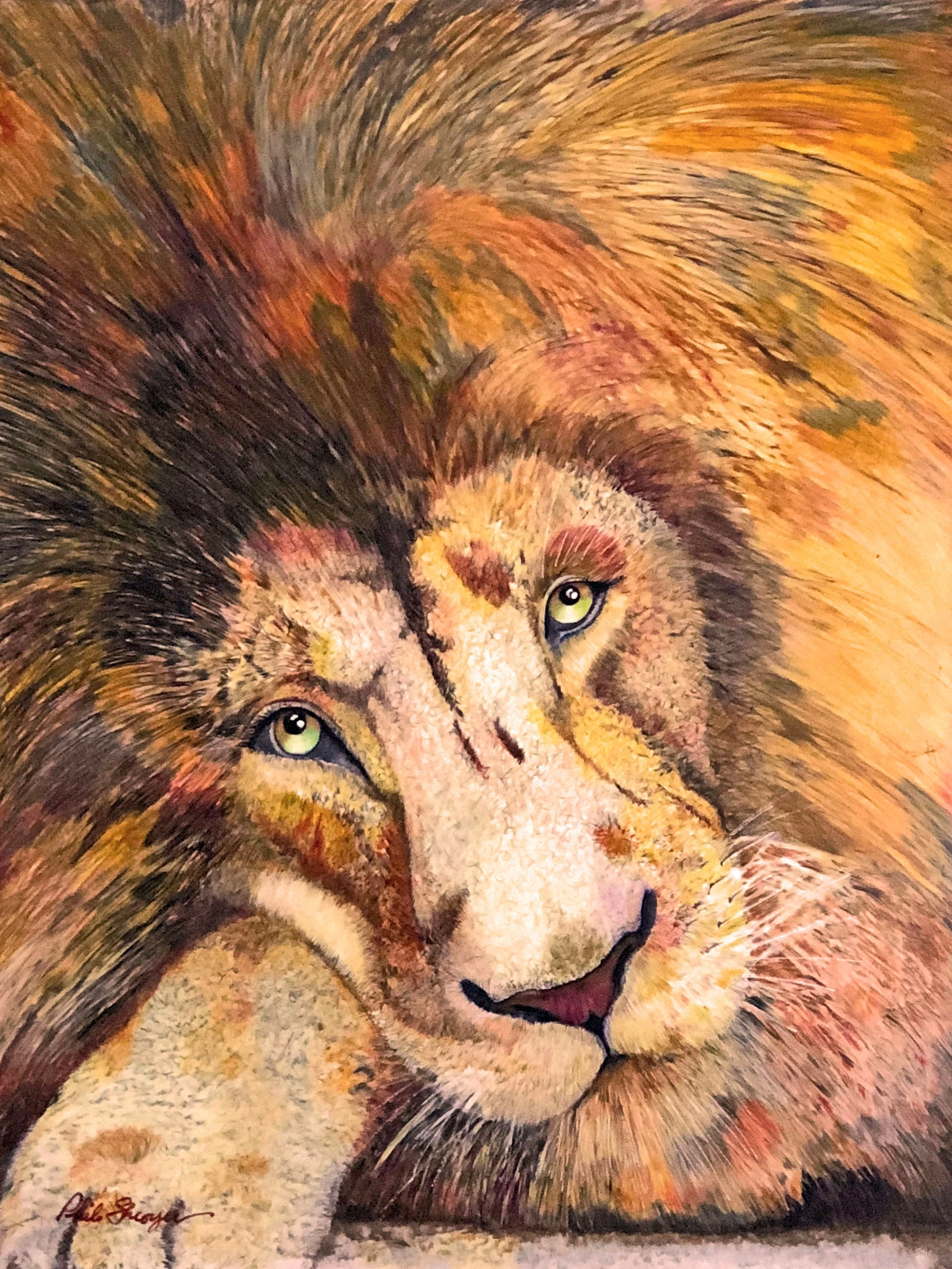 Laid Back Lion