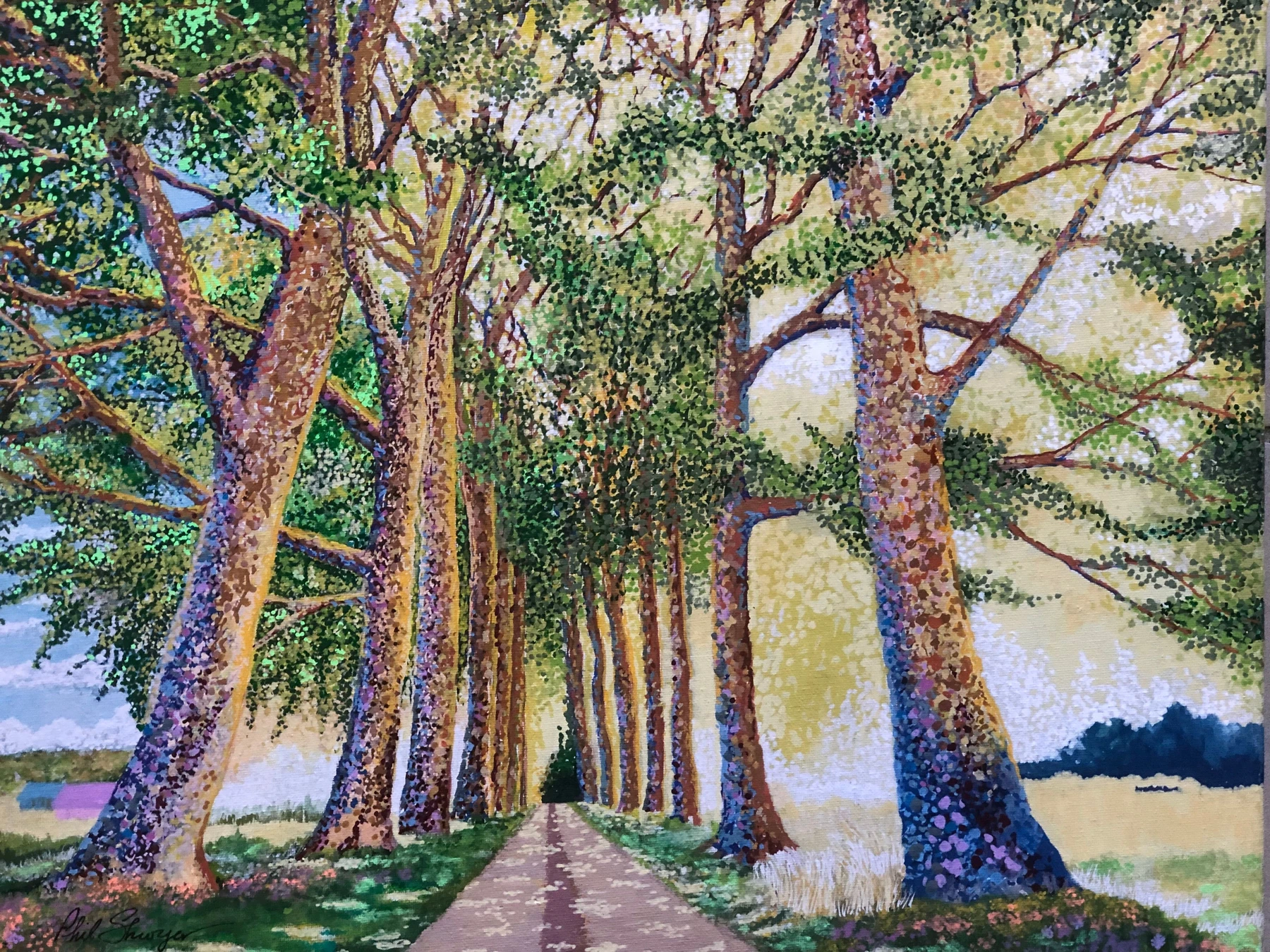 Plane Tree Path