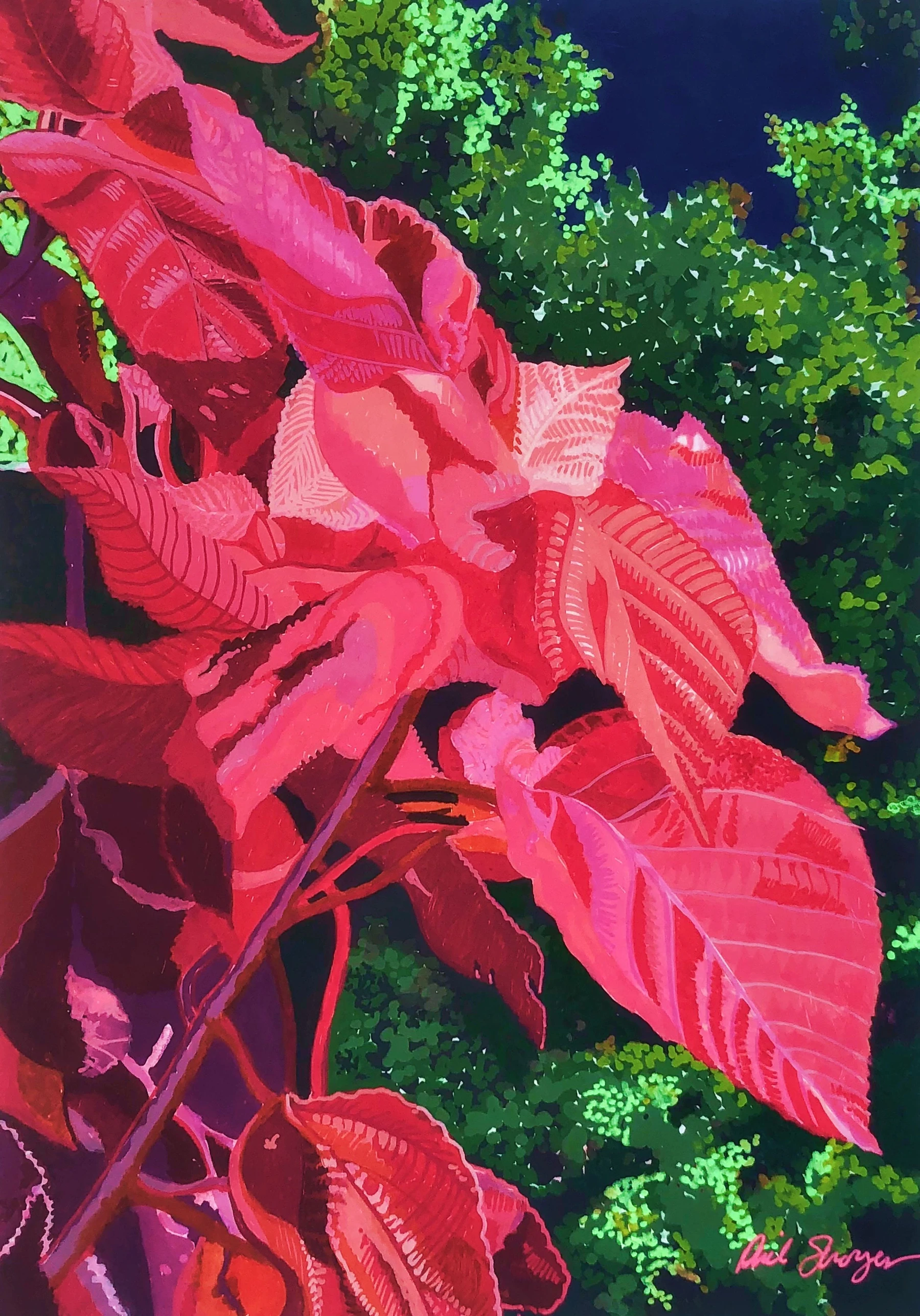 Red Leaves