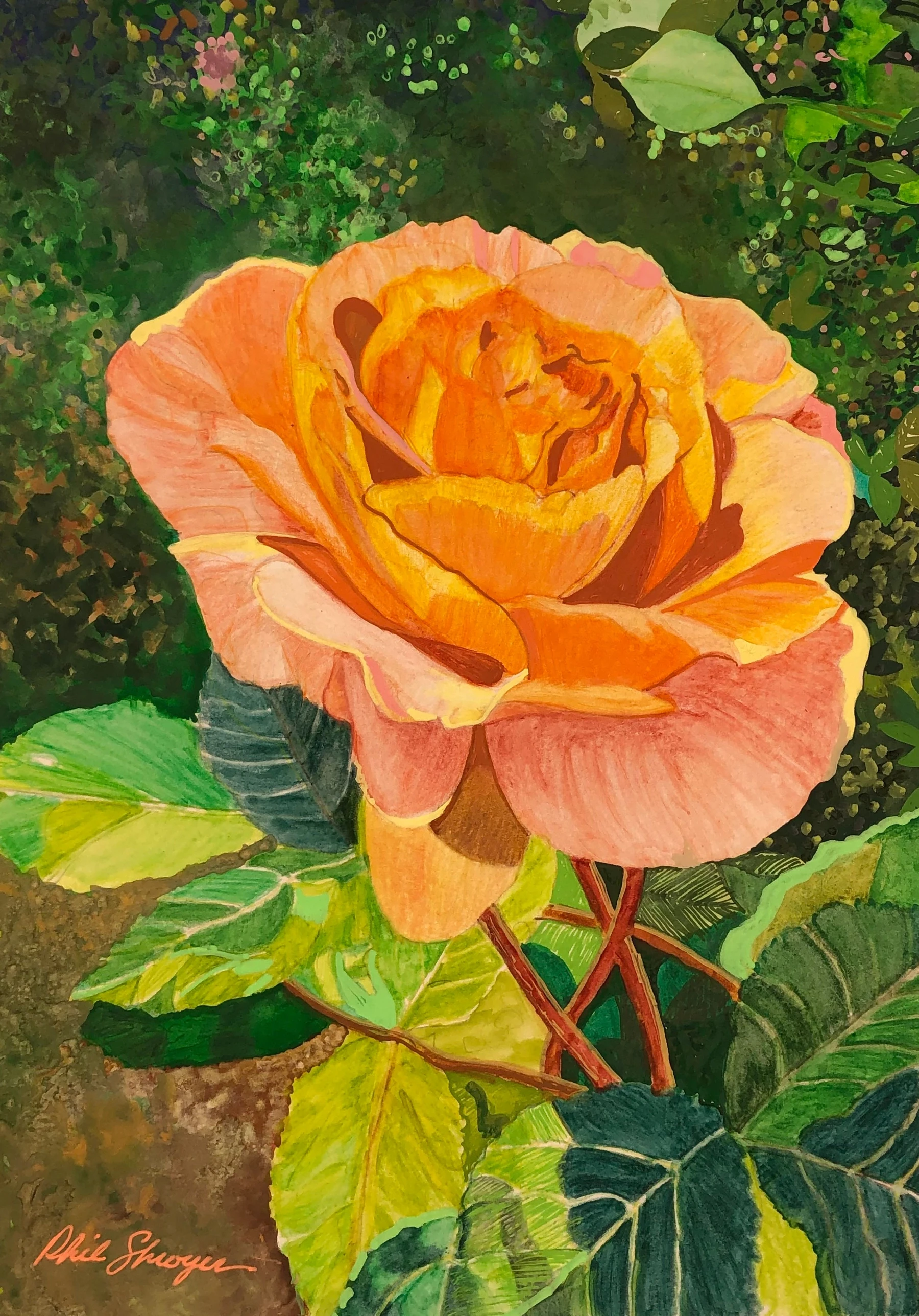 Salmon Rose