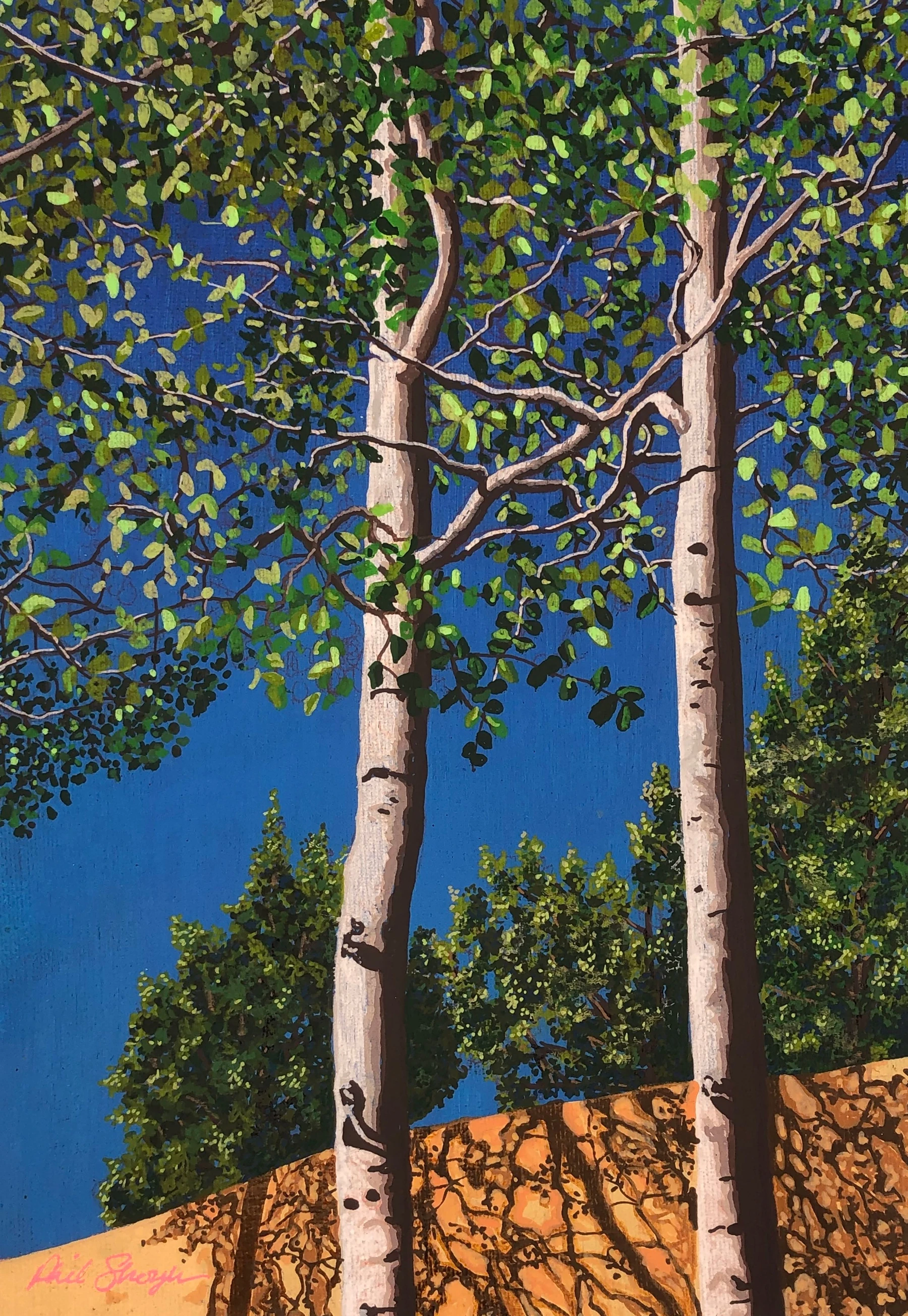 Santa Fe Aspens