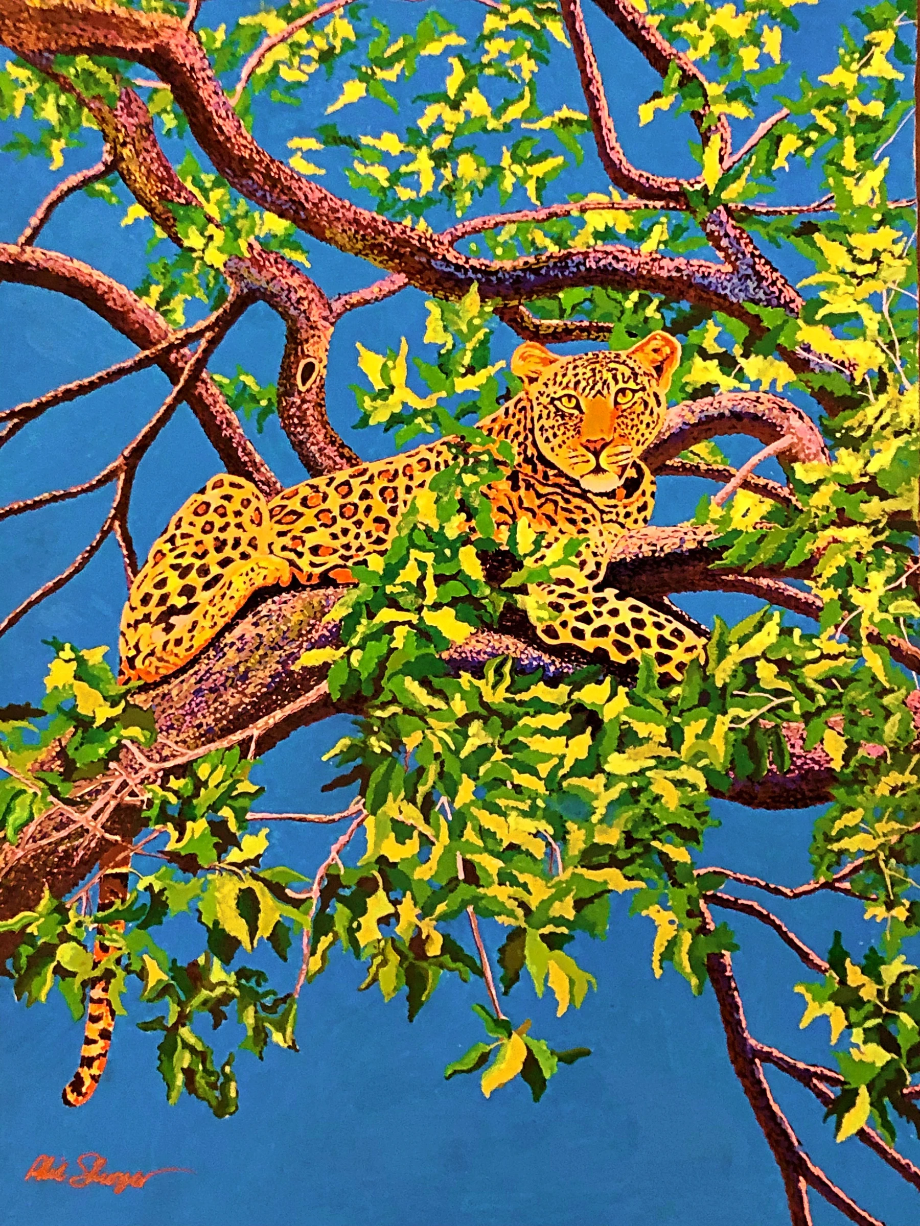 Shevaun's Jaguar