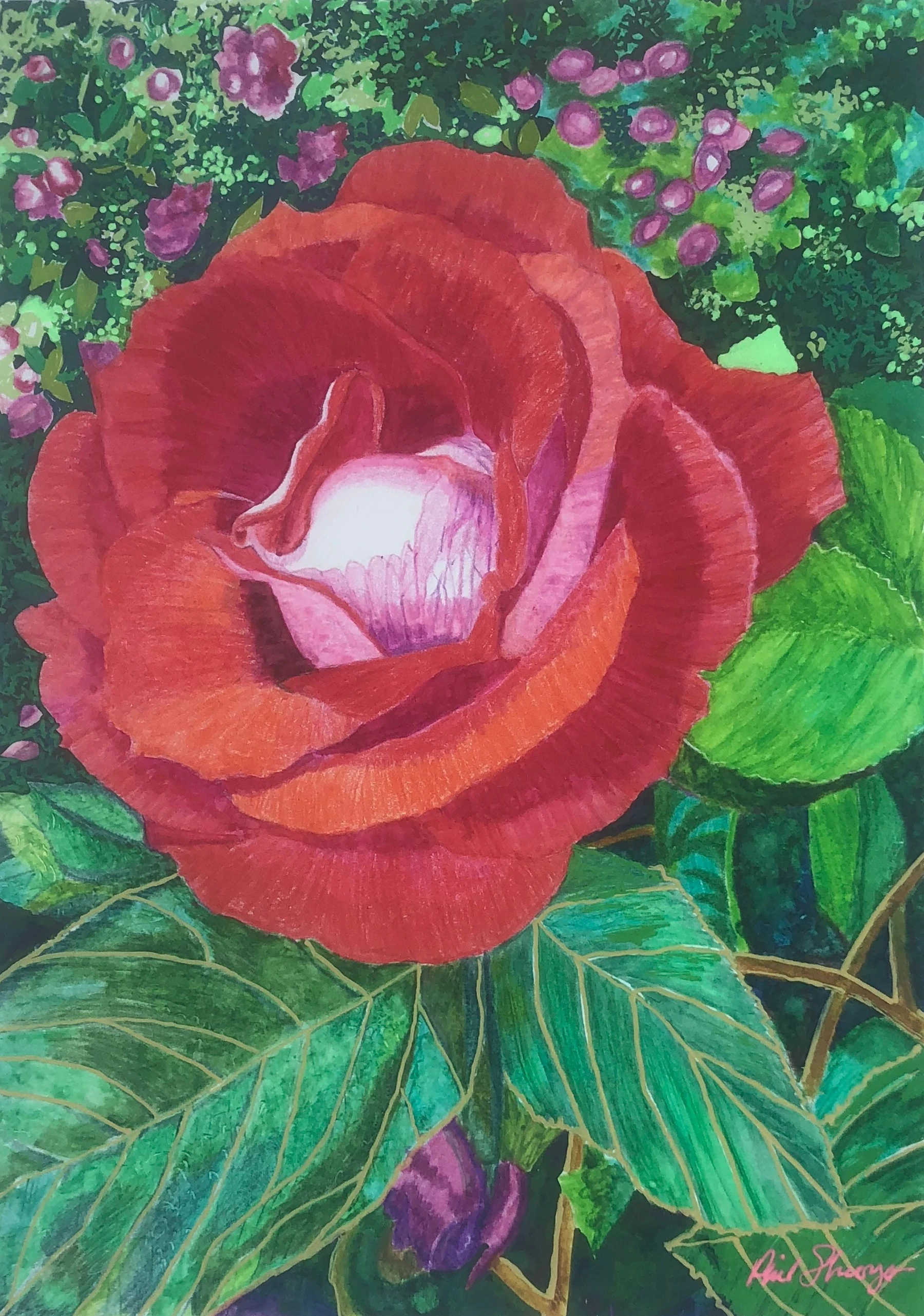Single Red Rose II