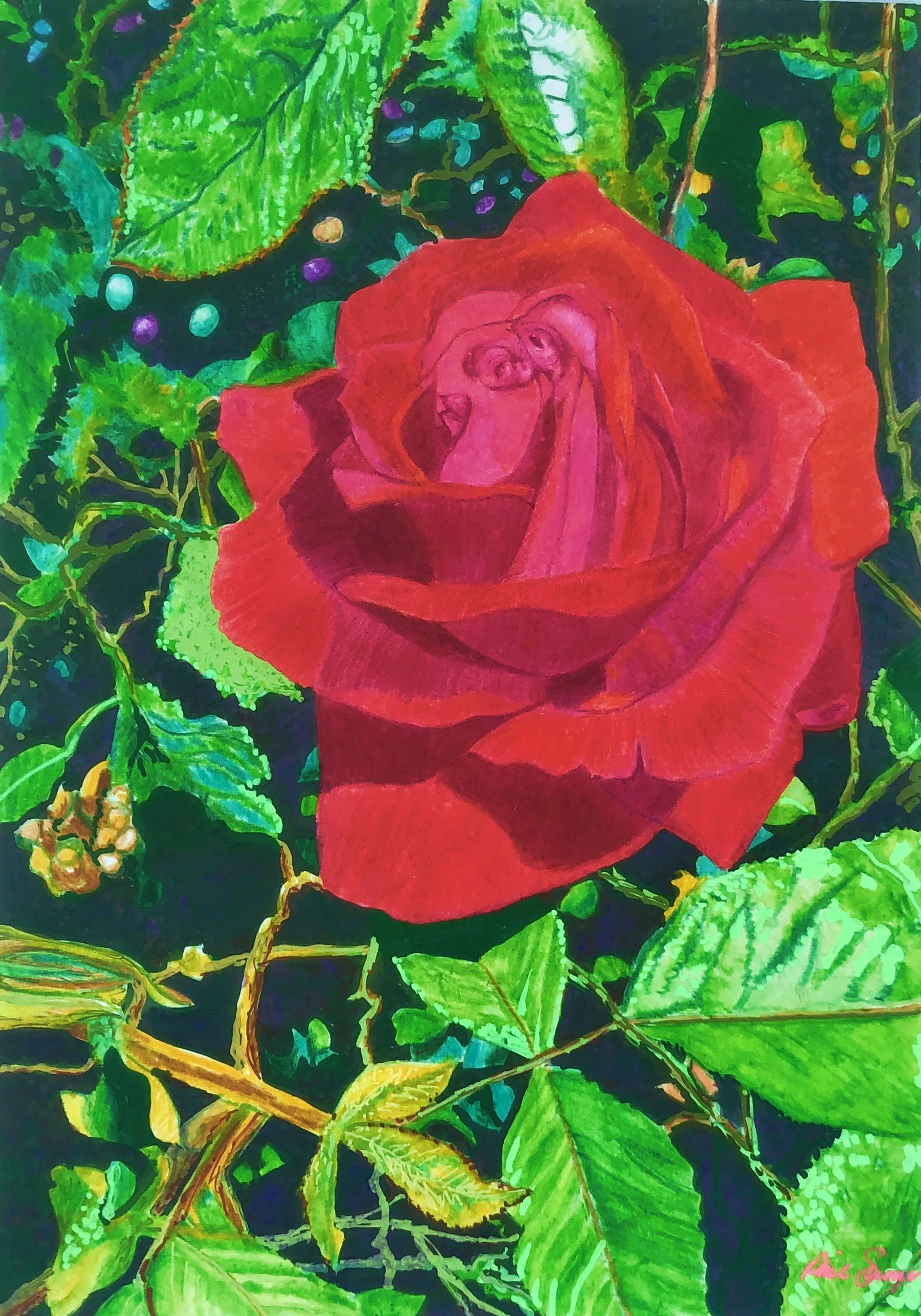 Single Red Rose