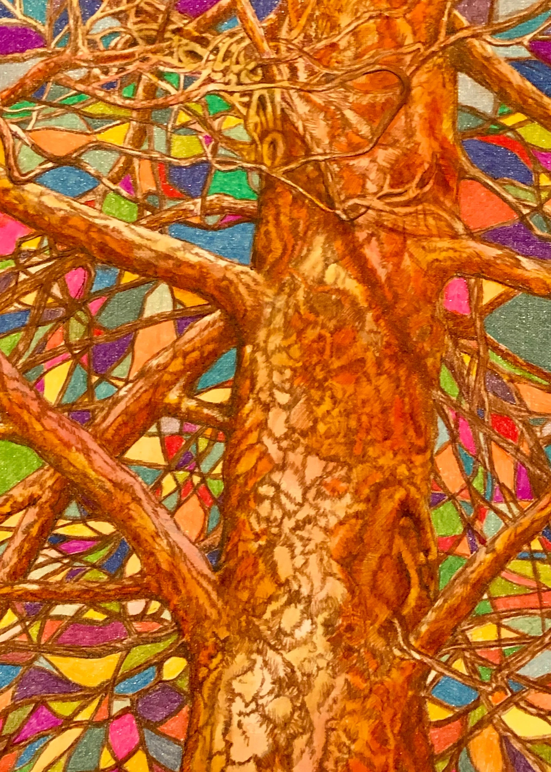 Stained Glass Pine