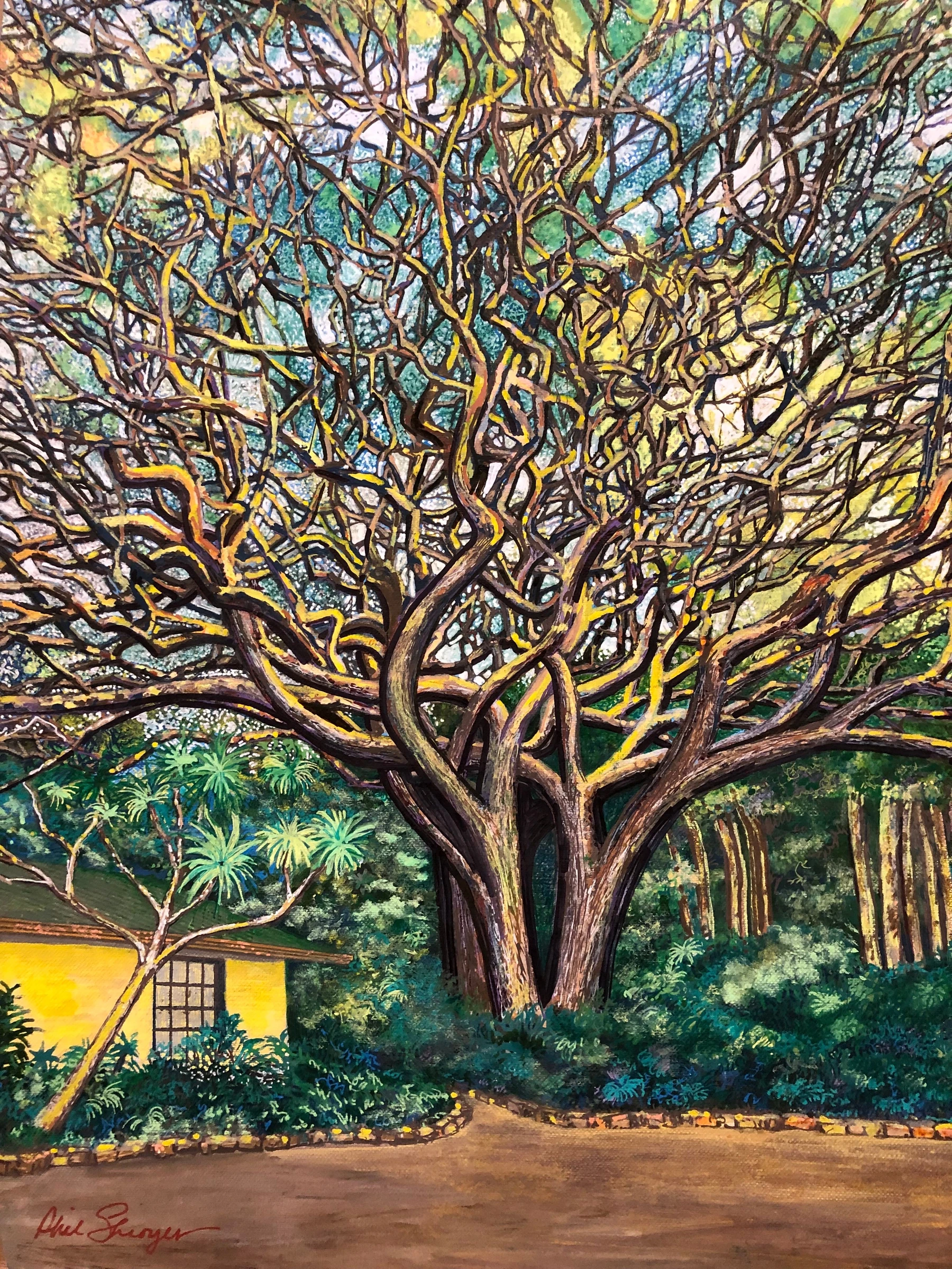 Tangled Tree
