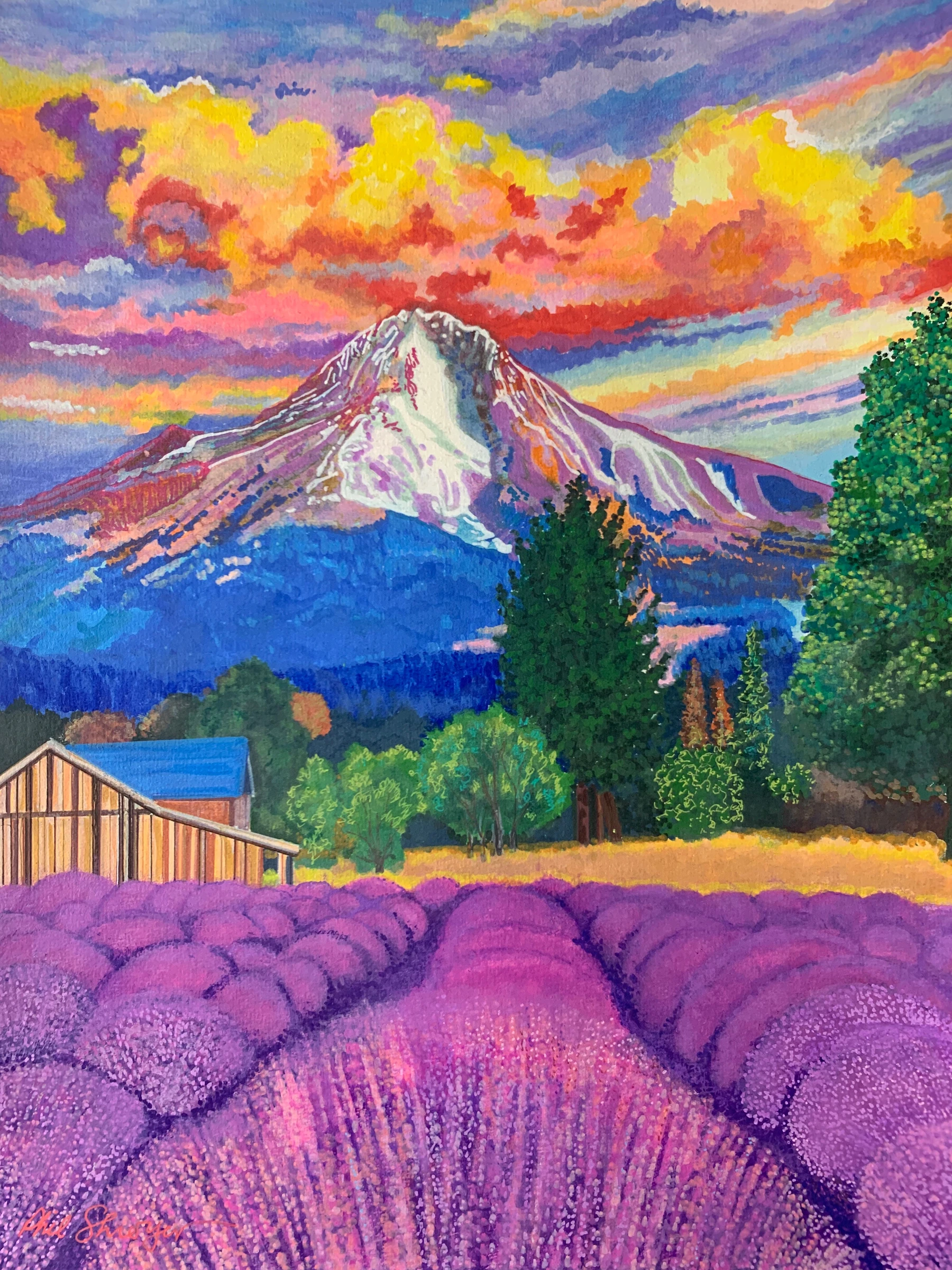 Lavender Evening