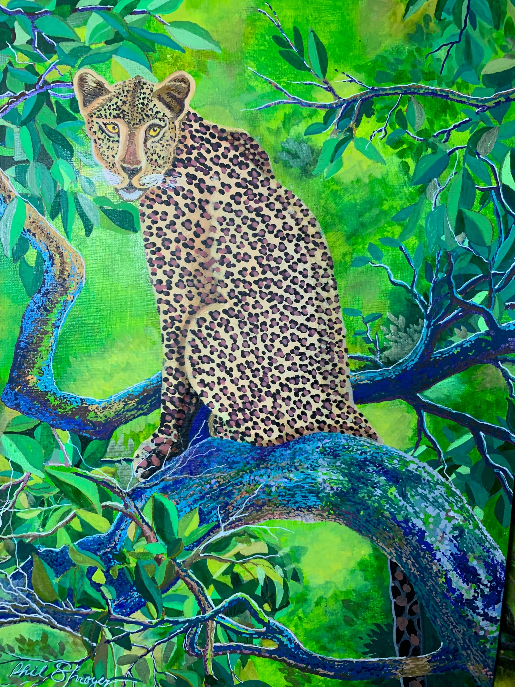 Leopard in a Tree