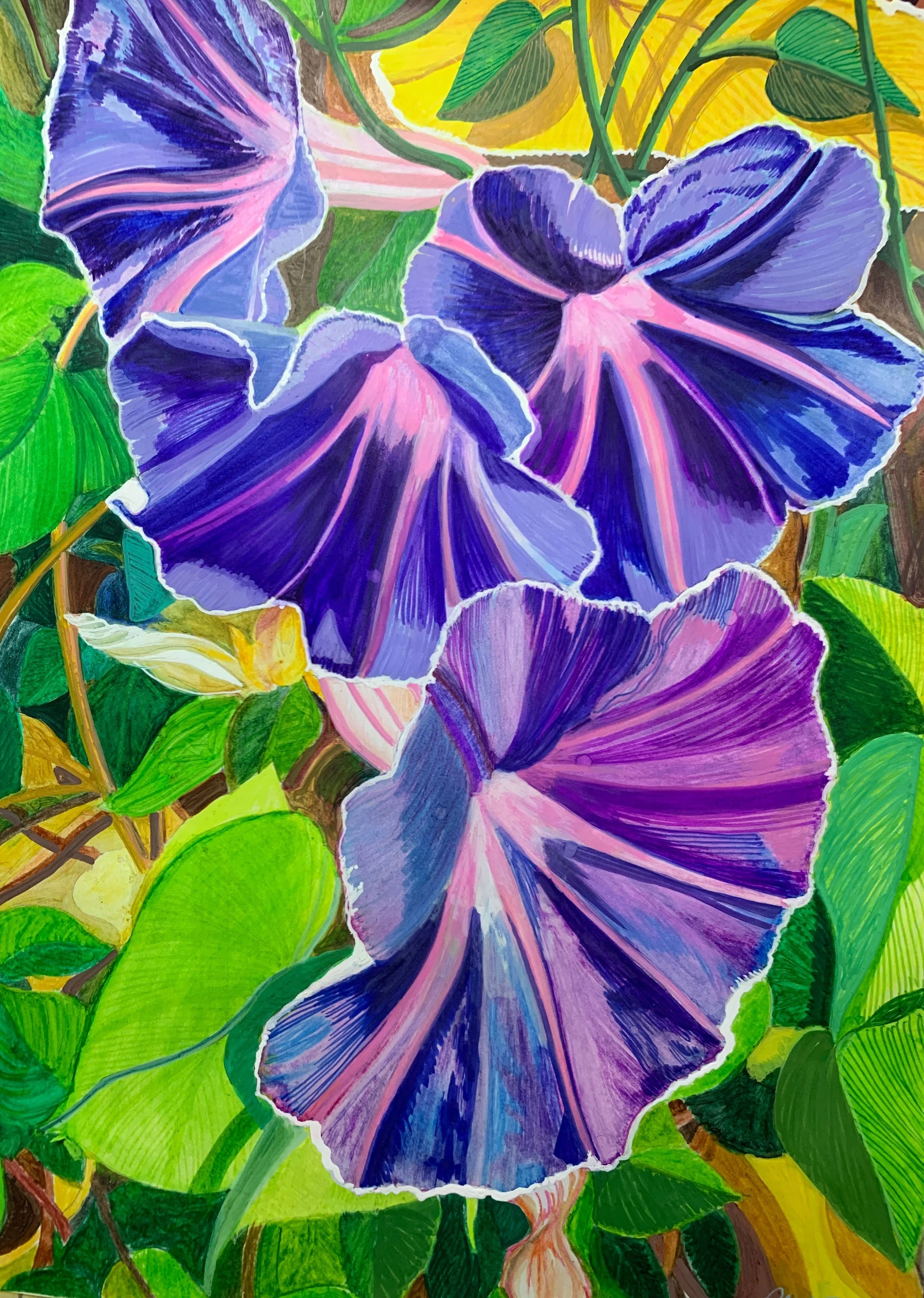 Purple Blooms