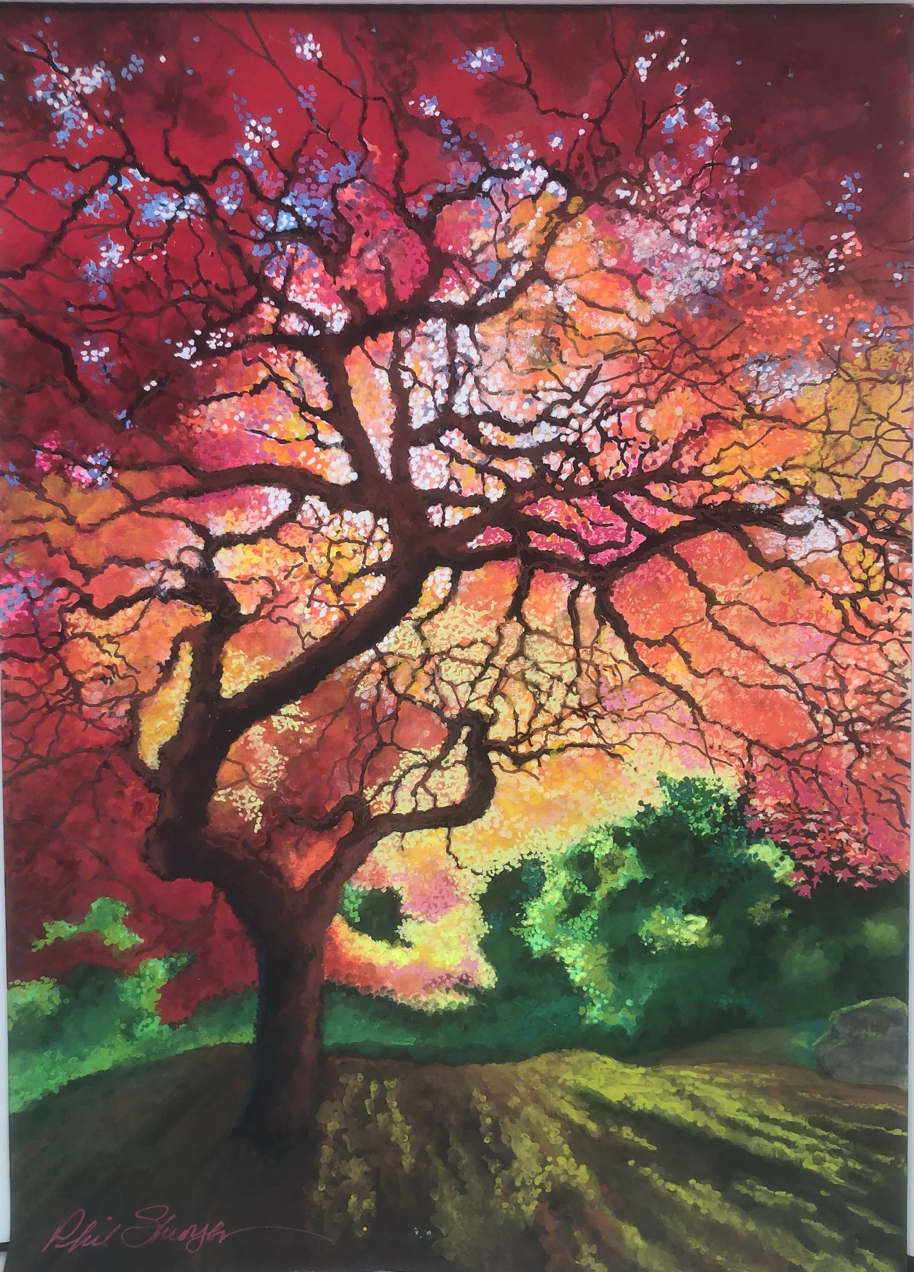 Intense Autumn Colors.Jpg