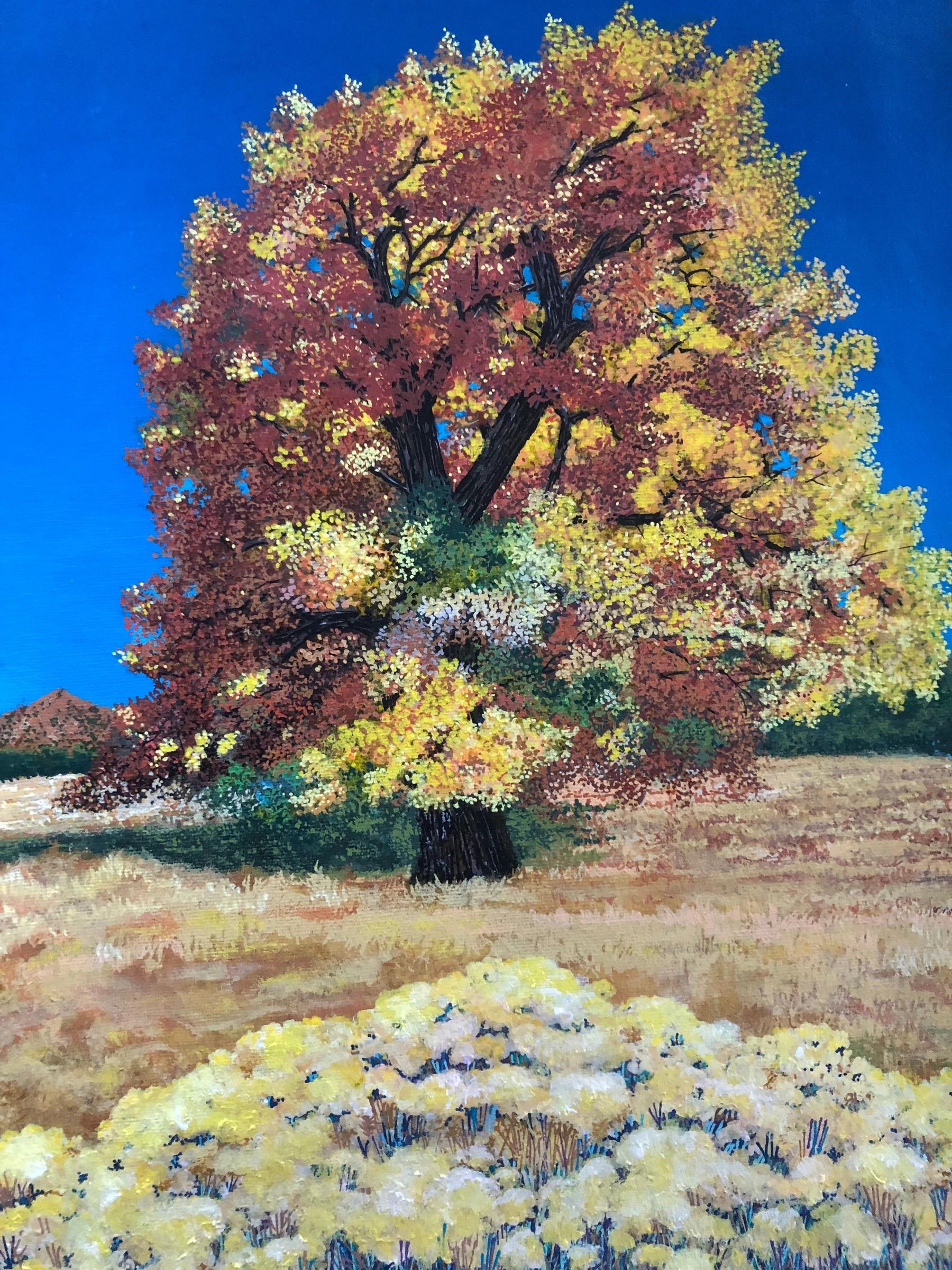 Autumn Cottonwood